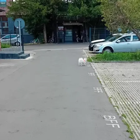 Lejlighed Bierutowska Wrocław